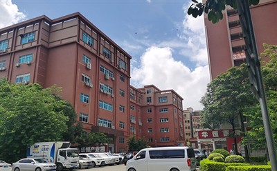 Gold Rose нь B2B-г дэмжих цогц хөтөлбөрийг эхлүүллээ: Түншүүдийн маркетинг, б...